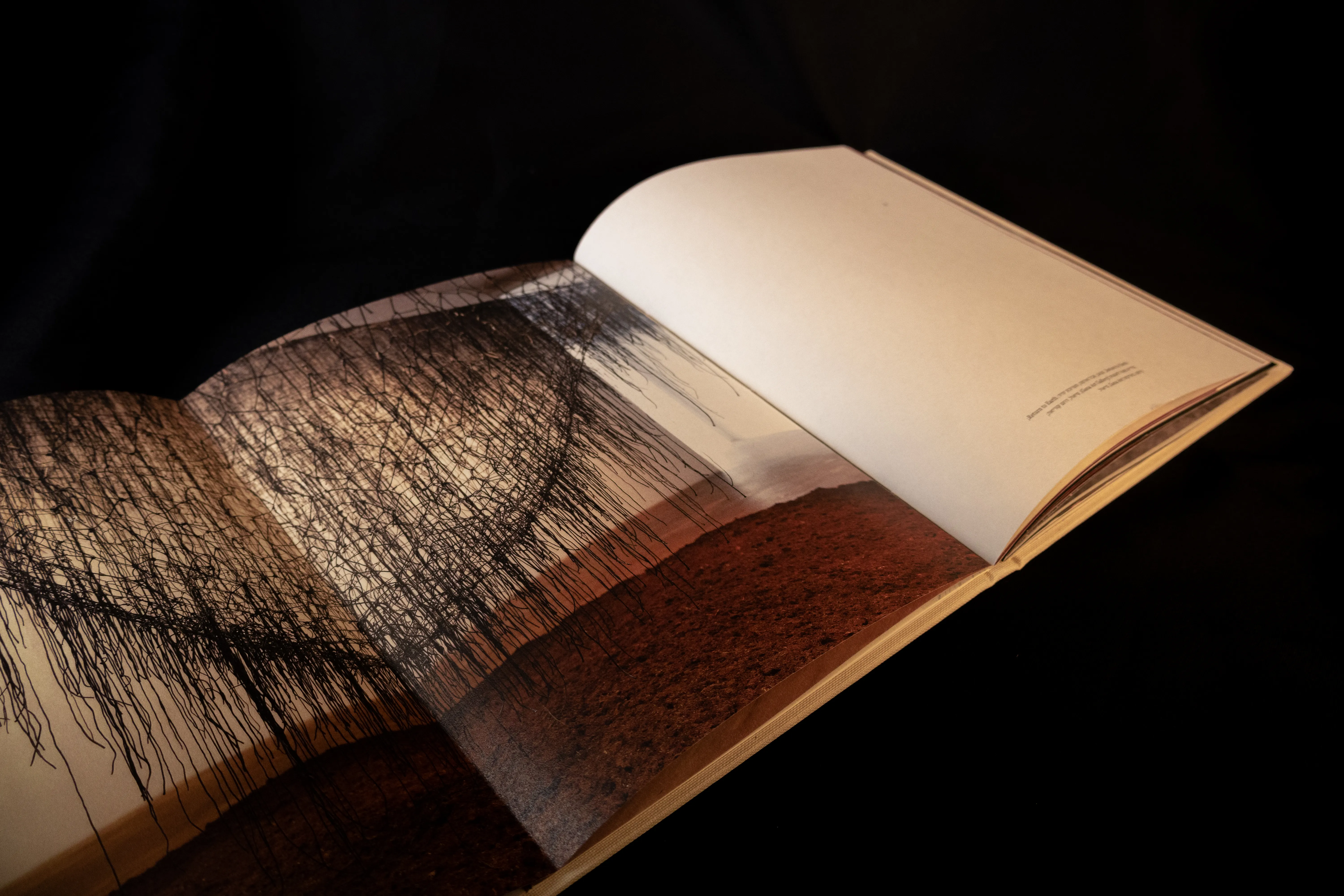 page-cover